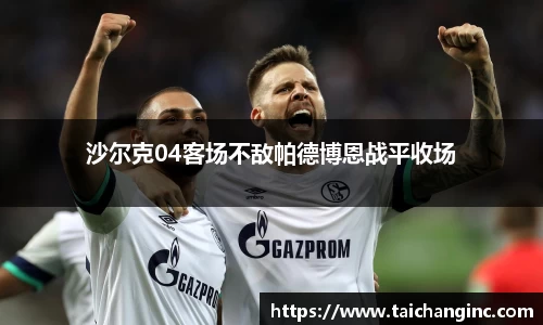 沙尔克04客场不敌帕德博恩战平收场