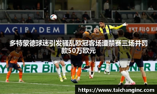 多特蒙德球迷引发骚乱欧冠客场遭禁赛三场并罚款50万欧元