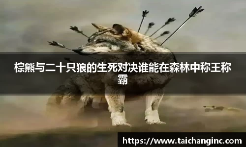 棕熊与二十只狼的生死对决谁能在森林中称王称霸