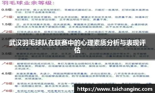 武汉羽毛球队在联赛中的心理素质分析与表现评估