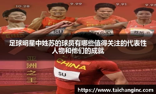 足球明星中姓苏的球员有哪些值得关注的代表性人物和他们的成就